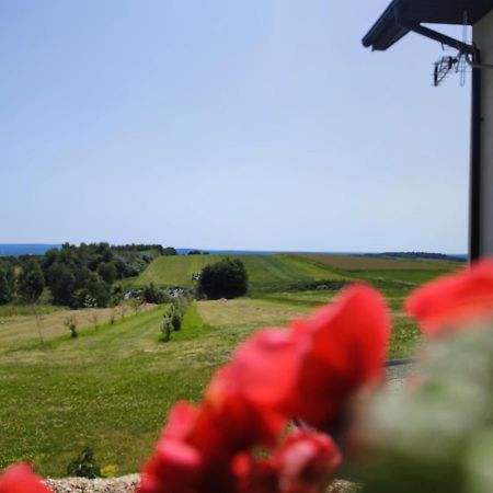 Agroturystyka Zdolina Krajno Pierwsze ภายนอก รูปภาพ